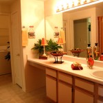 Sonterra at Buckingham Apartments Washroom