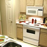 Sonterra at Buckingham Apartment Kitchen
