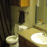 Spring Pointe Apartments Washroom
