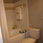 Villages at Clear Springs Apartment Washroom